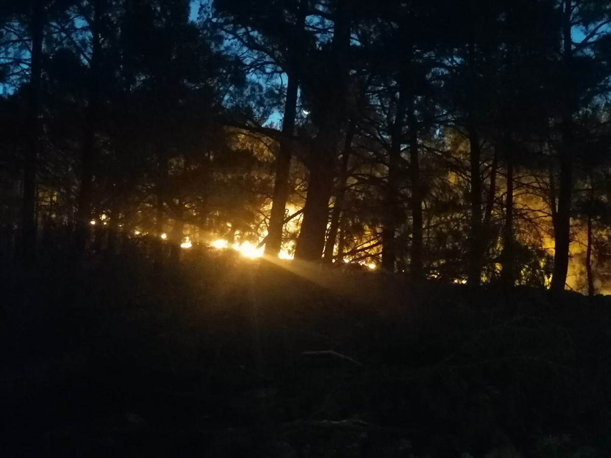 Mersin'de çıkan orman yangını söndürüldü