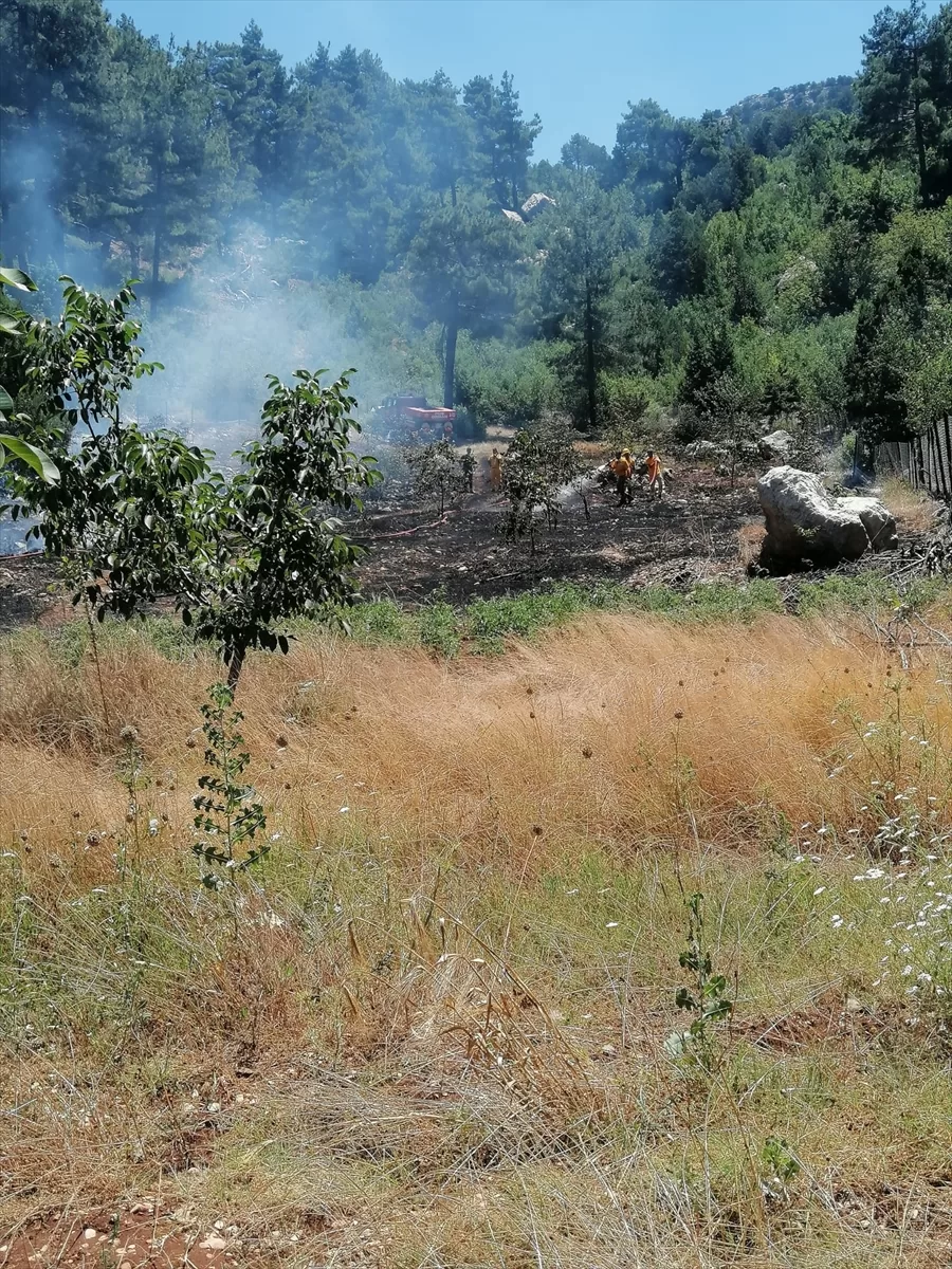 Adana Aladağ'da çıkan orman yangını söndürüldü