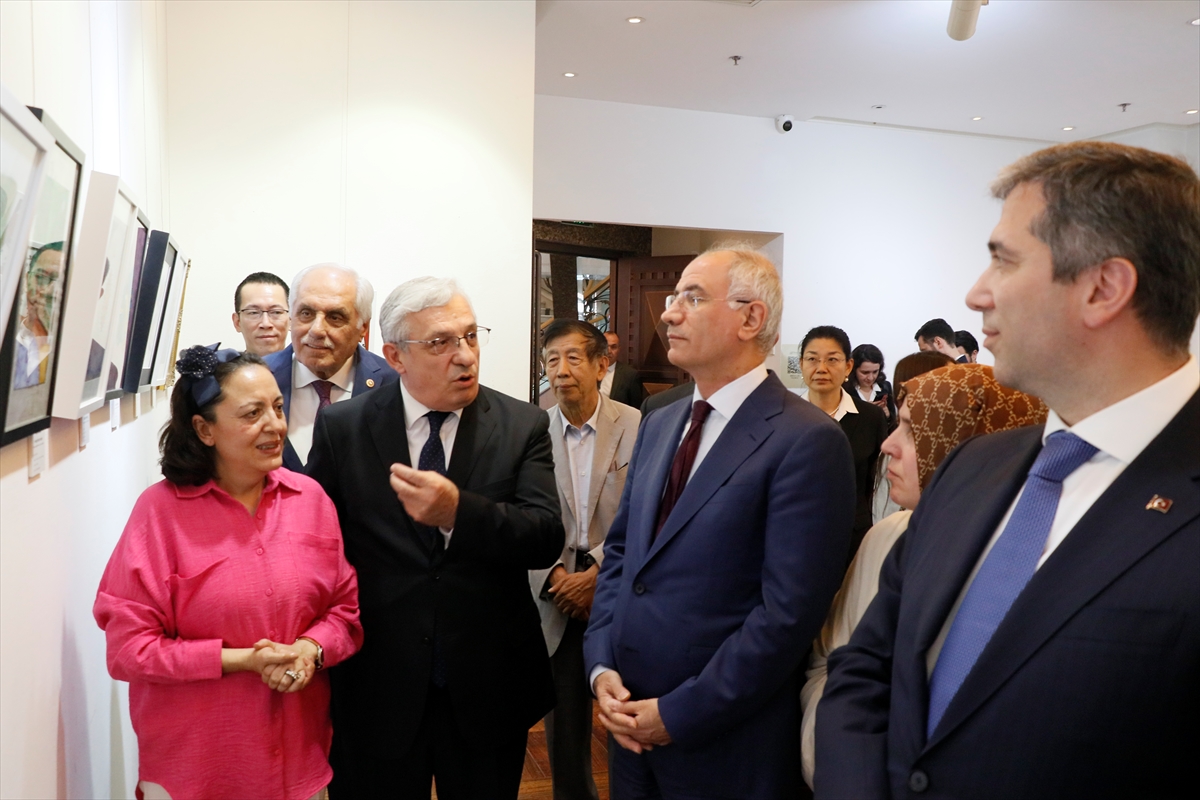 AK Parti Genel Başkan Vekili Ala, Pekin'de Türkiye-Çin resim sergisini ziyaret etti