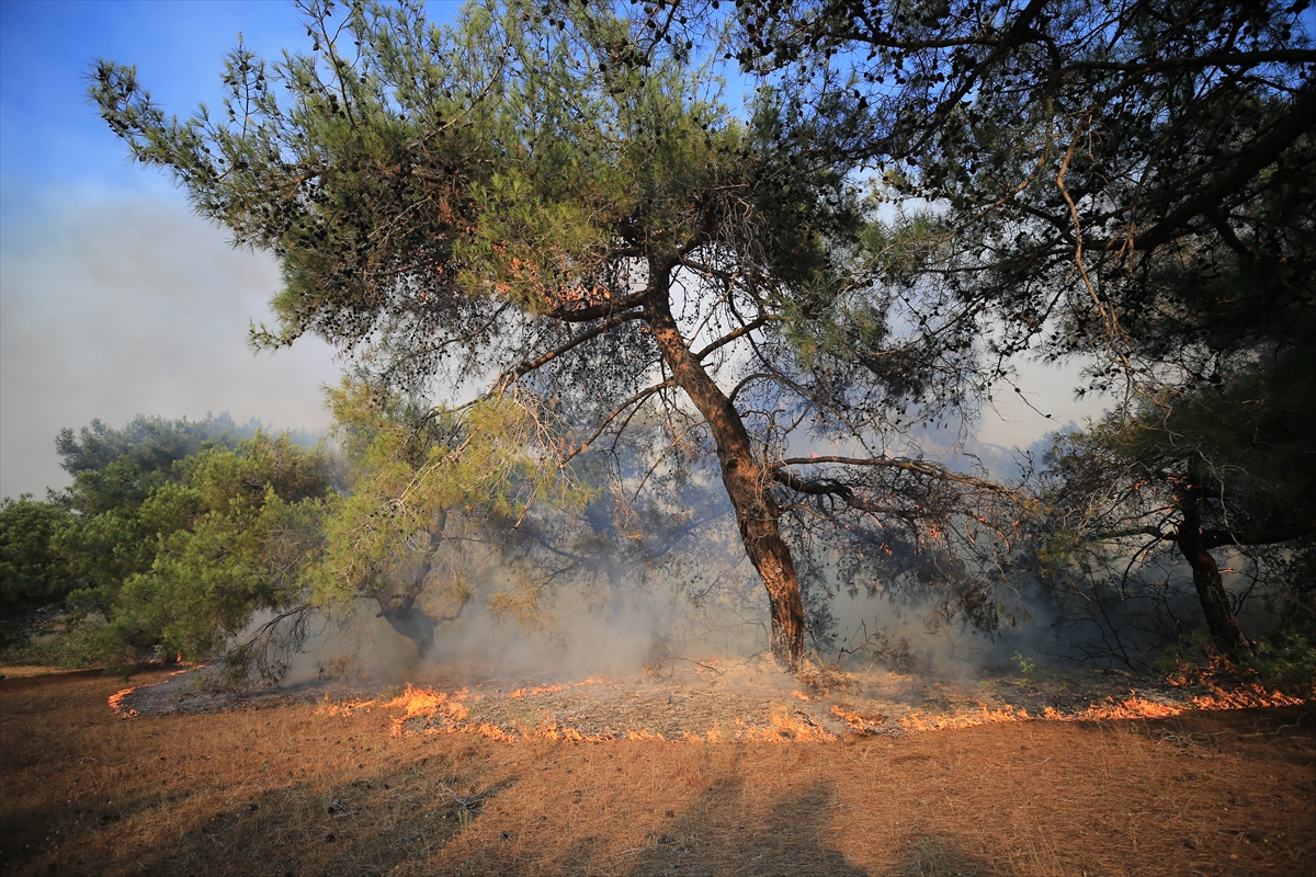GÜNCELLEME – Antalya'da çıkan orman yangını kontrol altına alındı