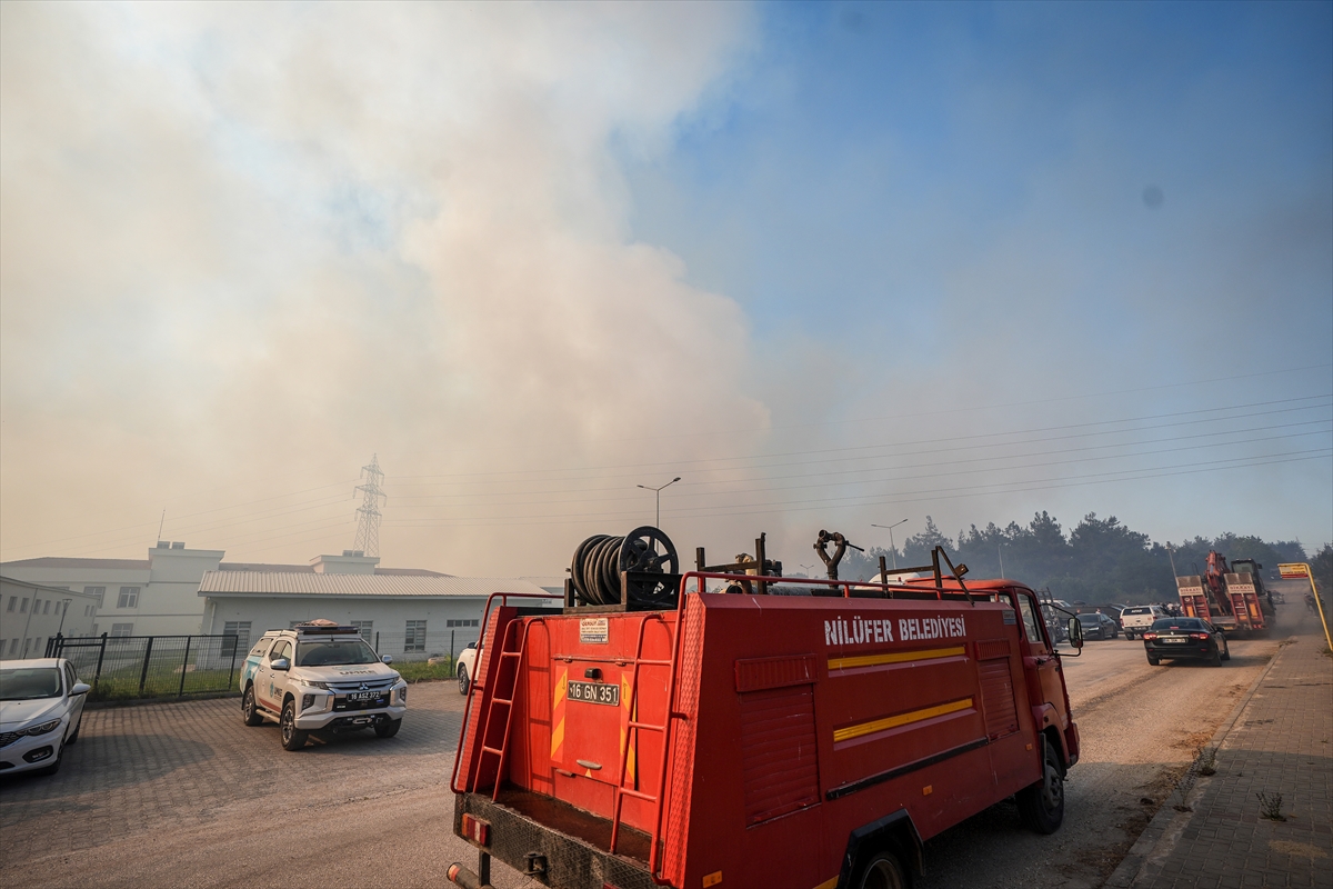 GÜNCELLEME 2 – Bursa'da makilik alanda çıkan yangın kampüsteki ormana sıçradı