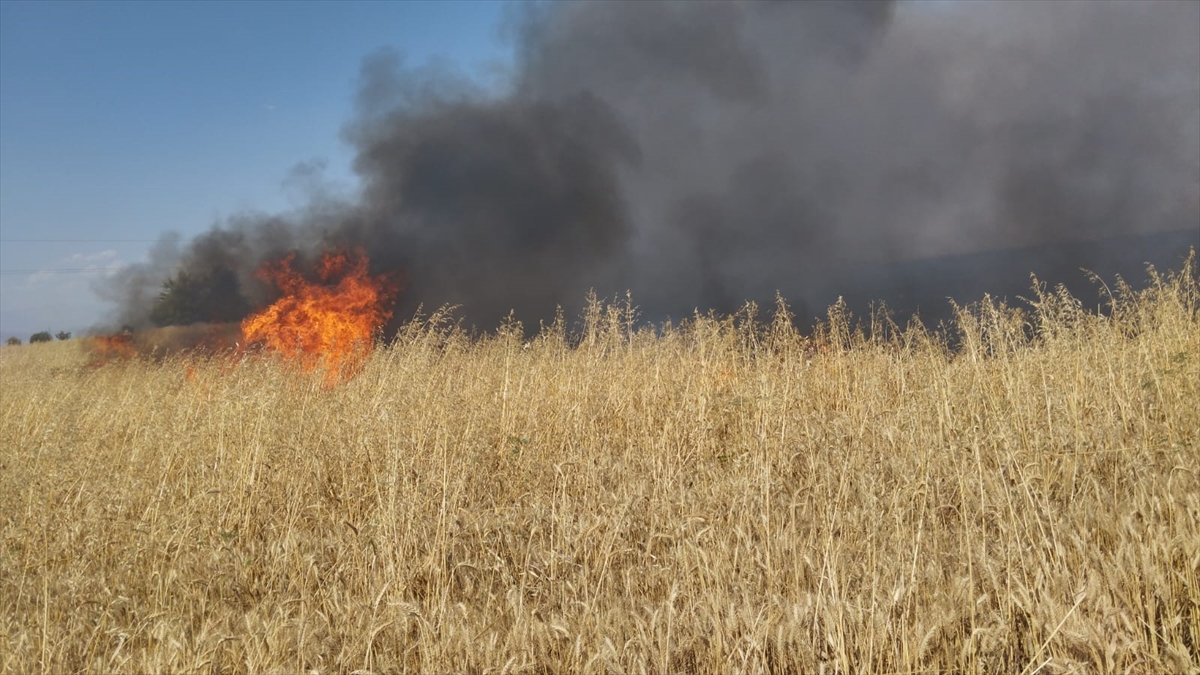 Kahramanmaraş'ta yaklaşık 150 dönüm buğday tarlası yandı