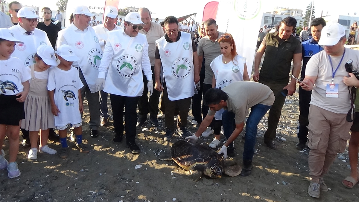 Mersin'de tedavisi tamamlanan kaplumbağa denize bırakıldı