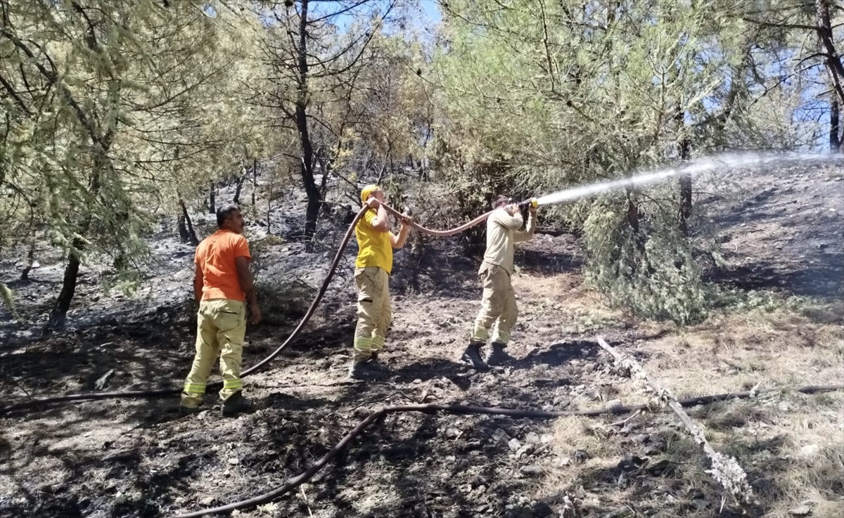 Sinop'ta çıkan yangında 3,5  hektarlık ormanlık alan zarar gördü