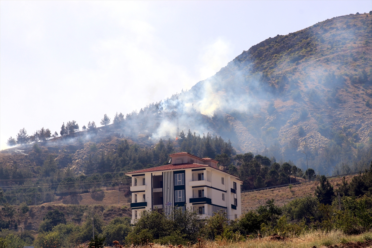 GÜNCELLEME – Amasya'da otluk alanda çıkıp ormana sıçrayan yangın söndürüldü