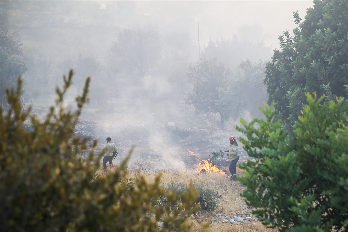 GÜNCELLEME – Antalya'da ormanlık alanda yangın çıktı
