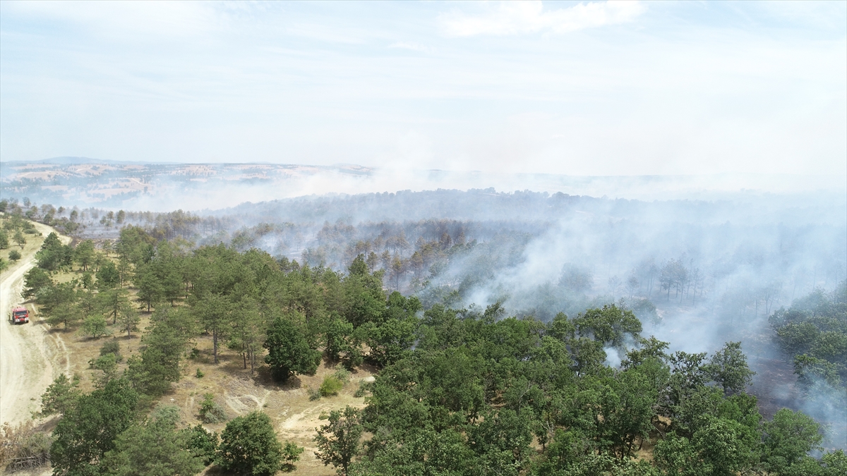 GÜNCELLEME – Edirne'de Bulgaristan sınırındaki orman yangınına müdahale ediliyor