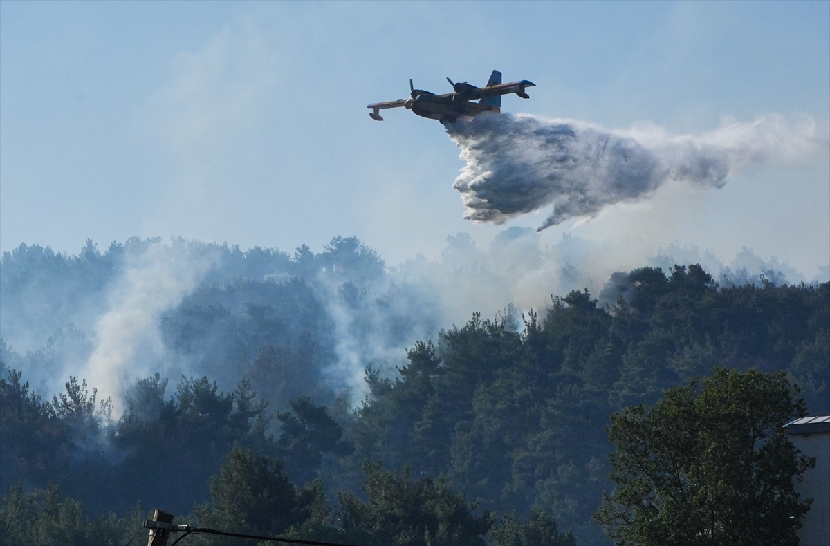 GÜNCELLEME 3 – İzmir Bornova'da çıkan orman yangınına müdahale ediliyor