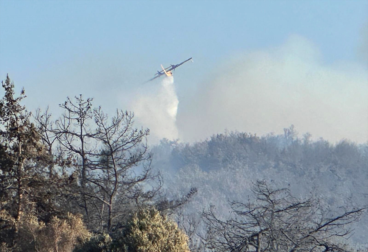 İzmir Urla'da çıkan orman yangınına müdahale ediliyor