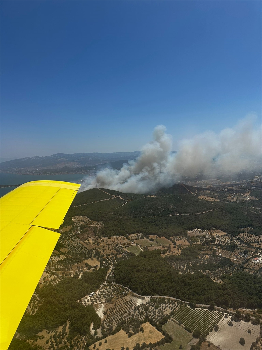 GÜNCELLEME – İzmir'in Urla ilçesinde çıkan orman yangınına müdahale ediliyor