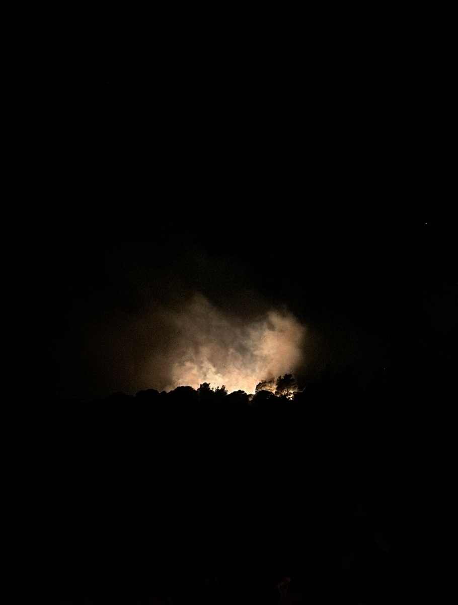 İzmir'in Urla ilçesinde orman yangını çıktı