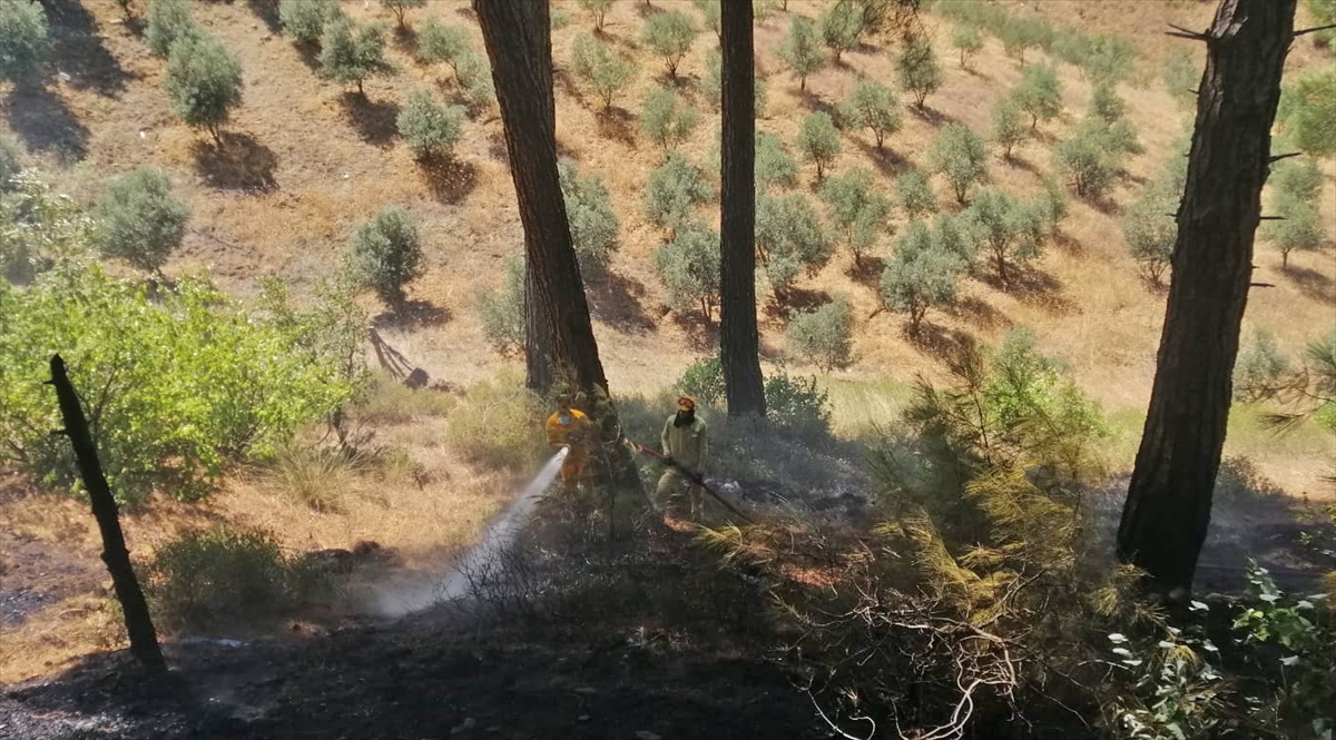 Kahramanmaraş'ta çıkan orman yangınına ekiplerce müdahale ediliyor
