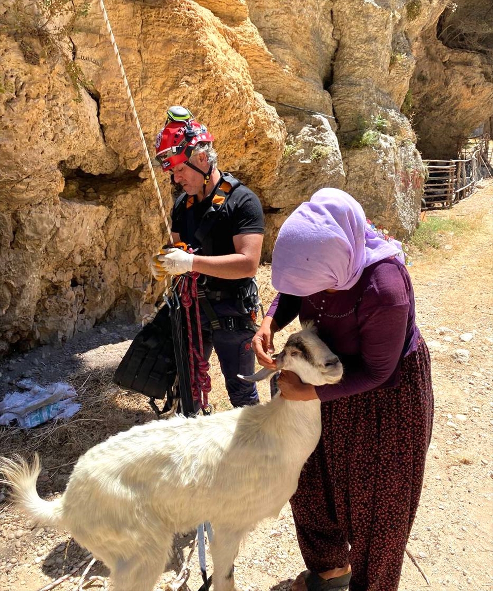 Mersin'de uçurumda mahsur kalan keçiyi itfaiye kurtardı