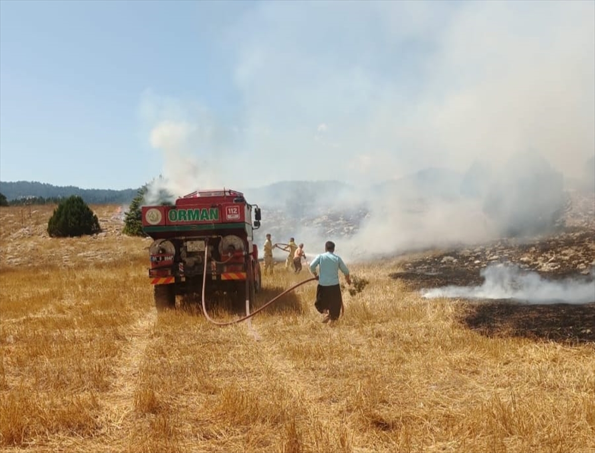 Adana'da ormanlık alana sıçrayan anız yangını kontrol altına alındı