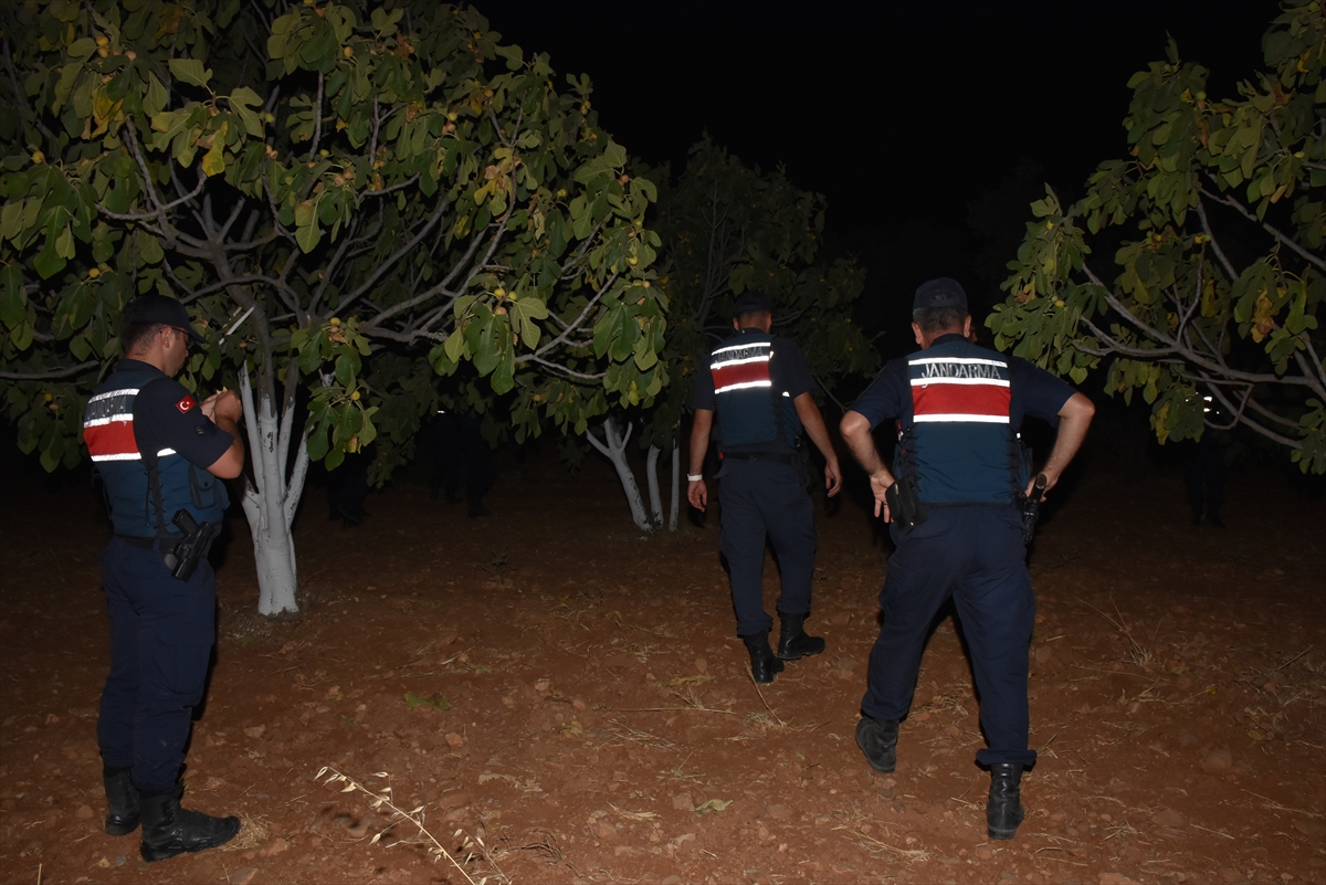 Aydın'da jandarma ekipleri, incir ve zeytin bahçelerindeki hırsızlıkları önlemek amacıyla uygulama yaptı