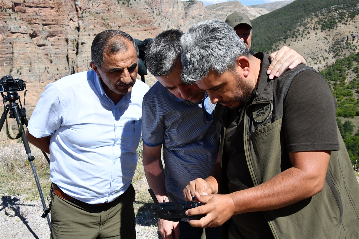 Gümüşhane Valisi Tanrısever, dağ yamaçlarındaki yaban keçilerini görüntüledi