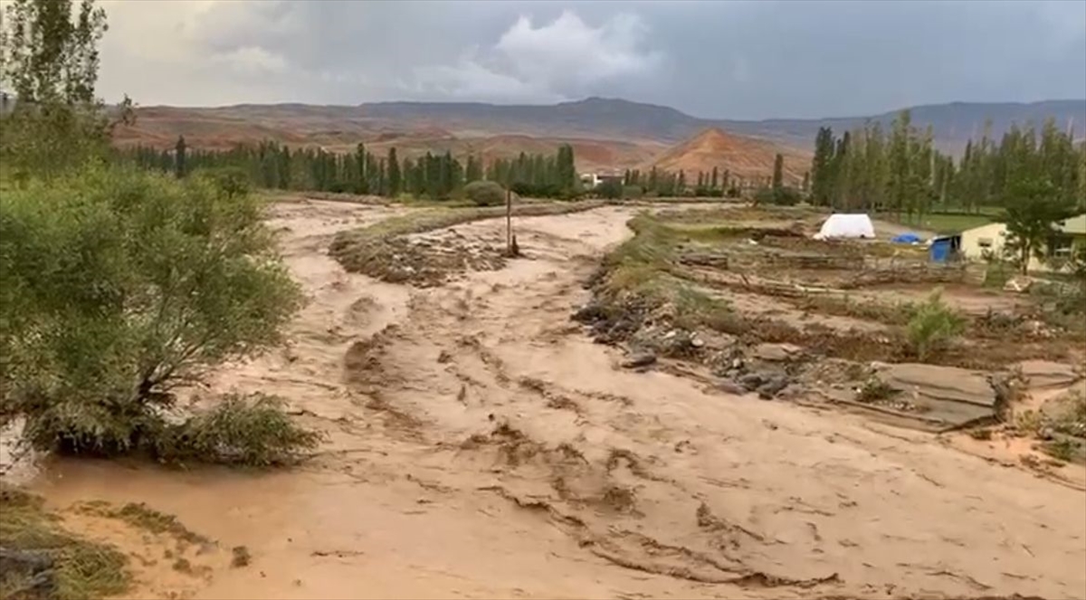 Kars'ta etkili olan sel bazı meyve bahçelerine zarar verdi