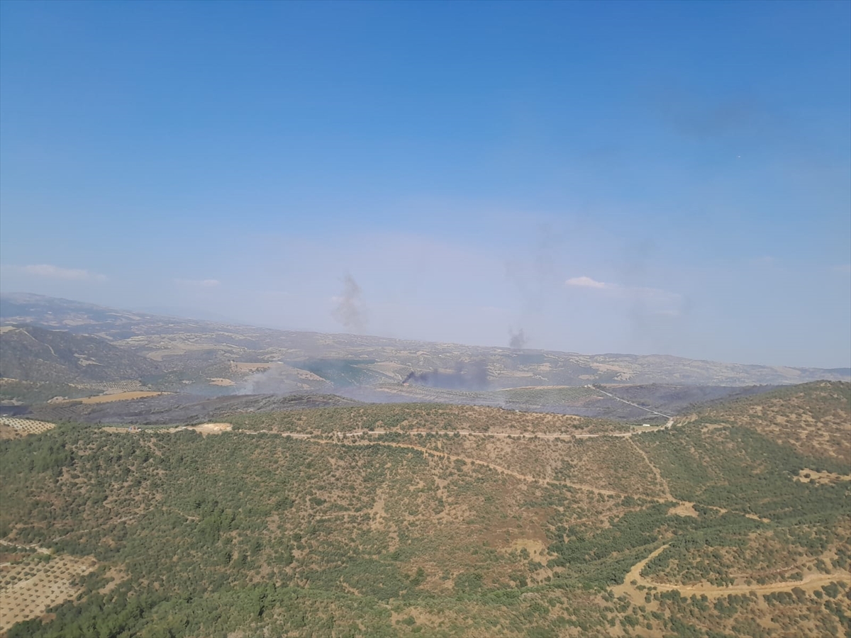 Manisa Salihli'de çıkan orman yangınına müdahale ediliyor