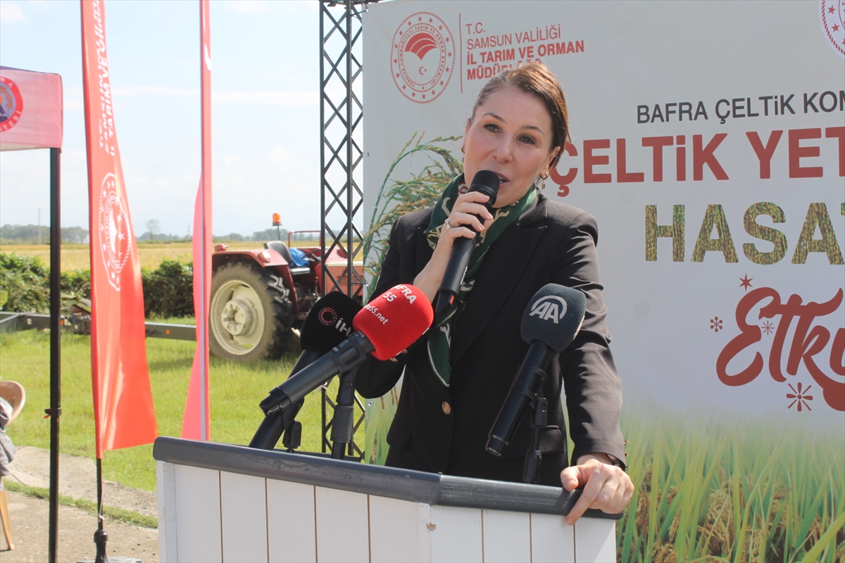 AK Parti'li Karaaslan, Samsun'da “Çeltik Yetiştiriciliği Hasat Günü”nde konuştu: