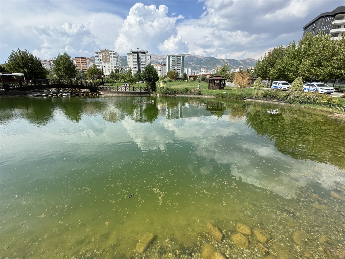 Kahramanmaraş'ta gölette boğulma tehlikesi geçiren çocuk hastaneye kaldırıldı