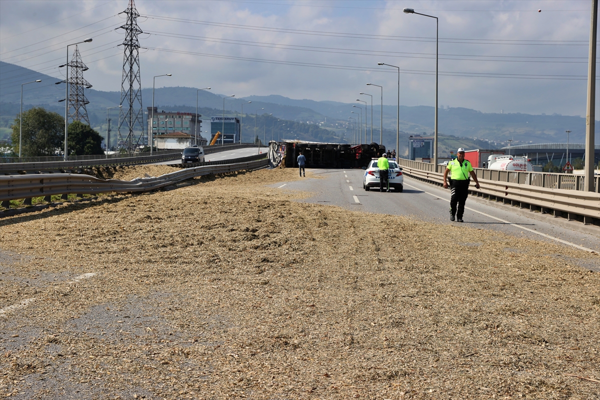 Samsun'da arı sokan tır şoförü kaza yaptı