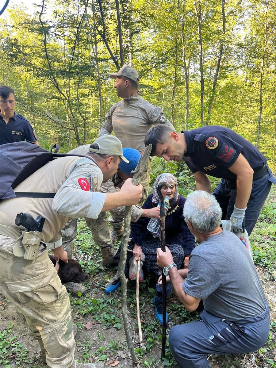 Sinop'ta mantar toplarken kaybolan kadın ormanda bulundu