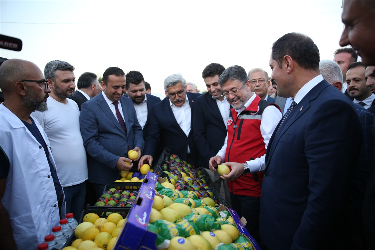 Tarım ve Orman Bakanı İbrahim Yumaklı, Hatay'da narenciye hasadına katıldı