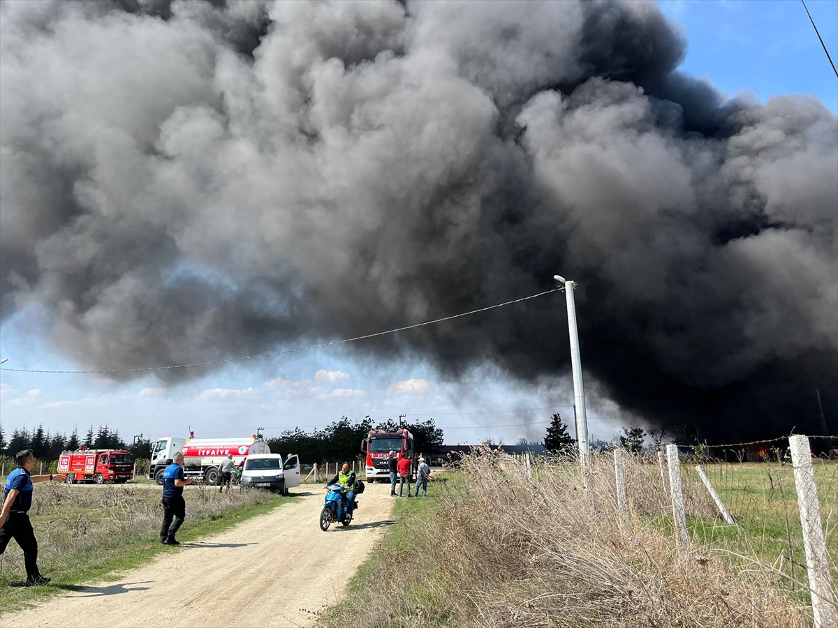 Tekirdağ'da fabrikada çıkan yangına müdahale ediliyor