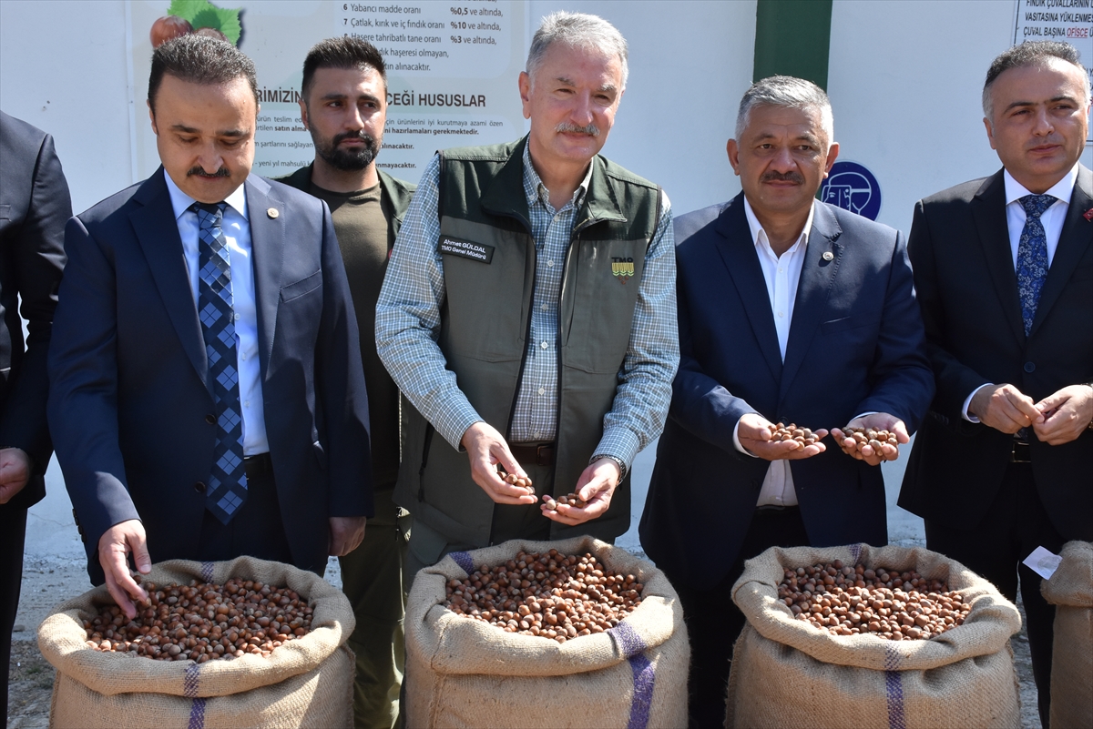 TMO Genel Müdürü Güldal, Ordu'da fındık alım deposunu ziyaret etti: