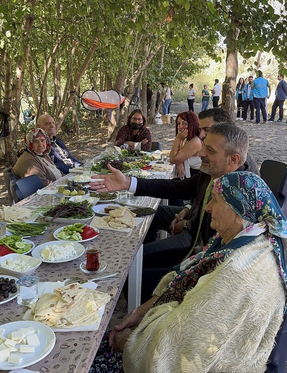 Tunceli'de valilik yaşlıları doktor kontrolünde evlerinden alıp doğayla buluşturuyor