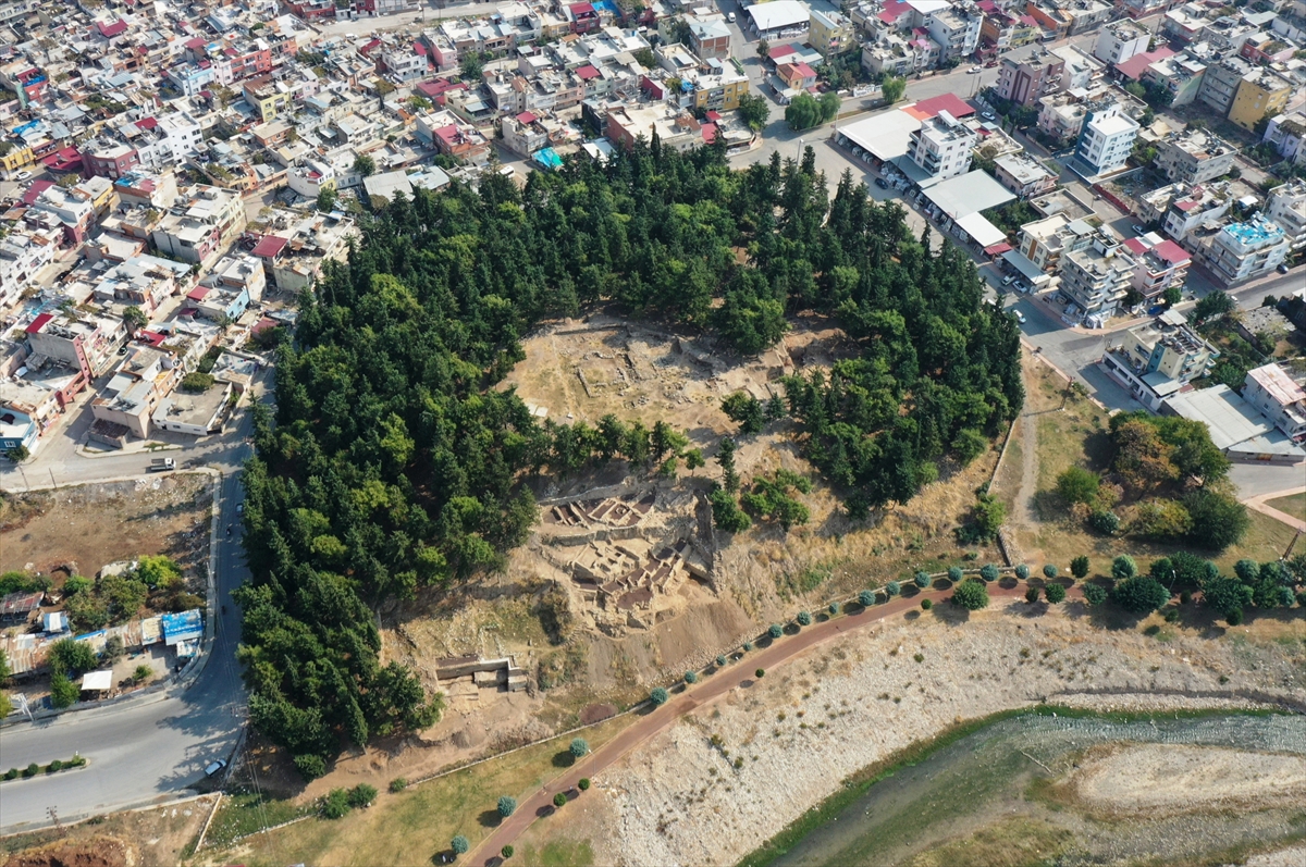 Yumuktepe Höyüğü'nde 9 bin yıllık geçmişe sahip iki buğday türü tespit edildi