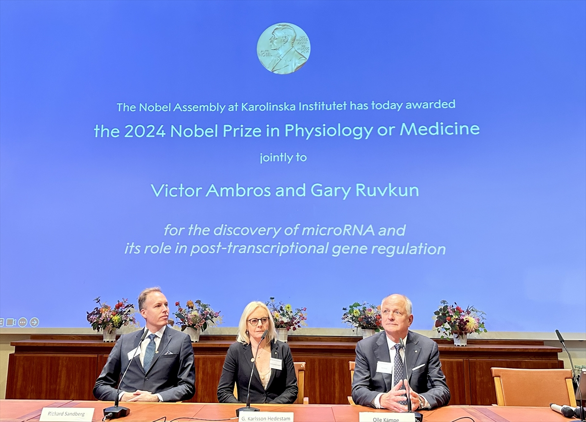 2024 Nobel Tıp Ödülü'nü “mikroRNA'nın keşfi ve gen düzenlemesi” çalışmalarından dolayı ABD'li Victor Ambros ve Gary Ruvkun kazandı