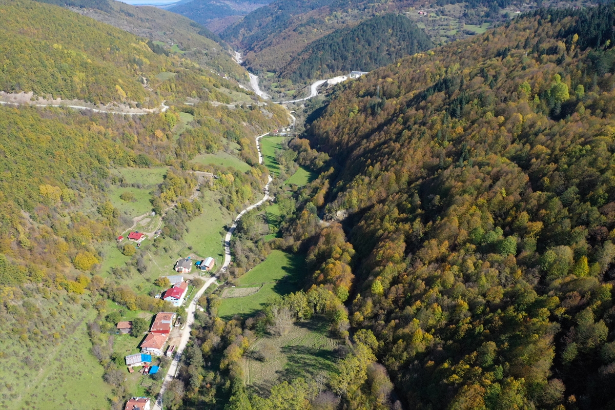 “Anadolu'nun yüce dağı” Ilgaz'da kış ve sonbahar aynı anda yaşanıyor