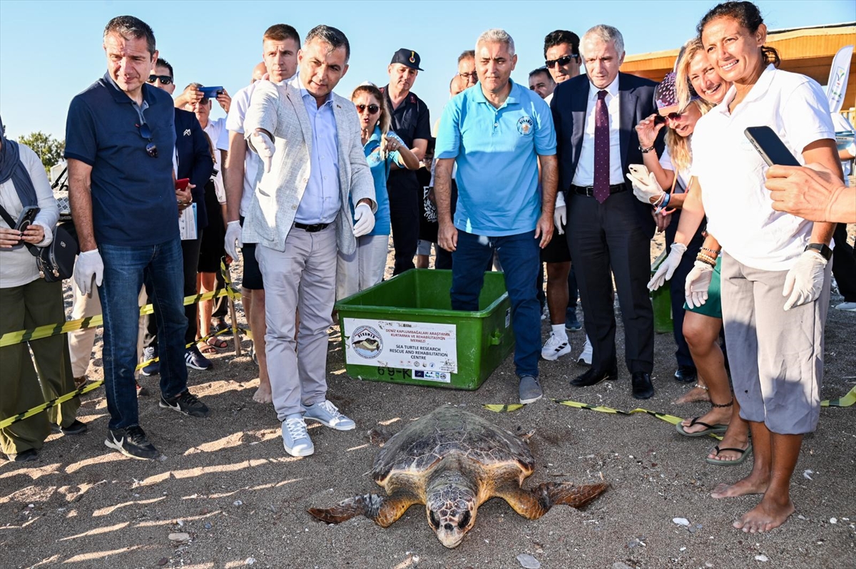 Antalya'da tedavileri tamamlanan iki caretta caretta denize bırakıldı