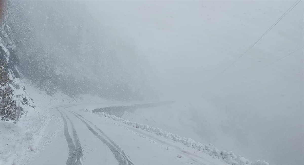 Artvin'de kardan kapanan köy yolları ulaşıma açıldı