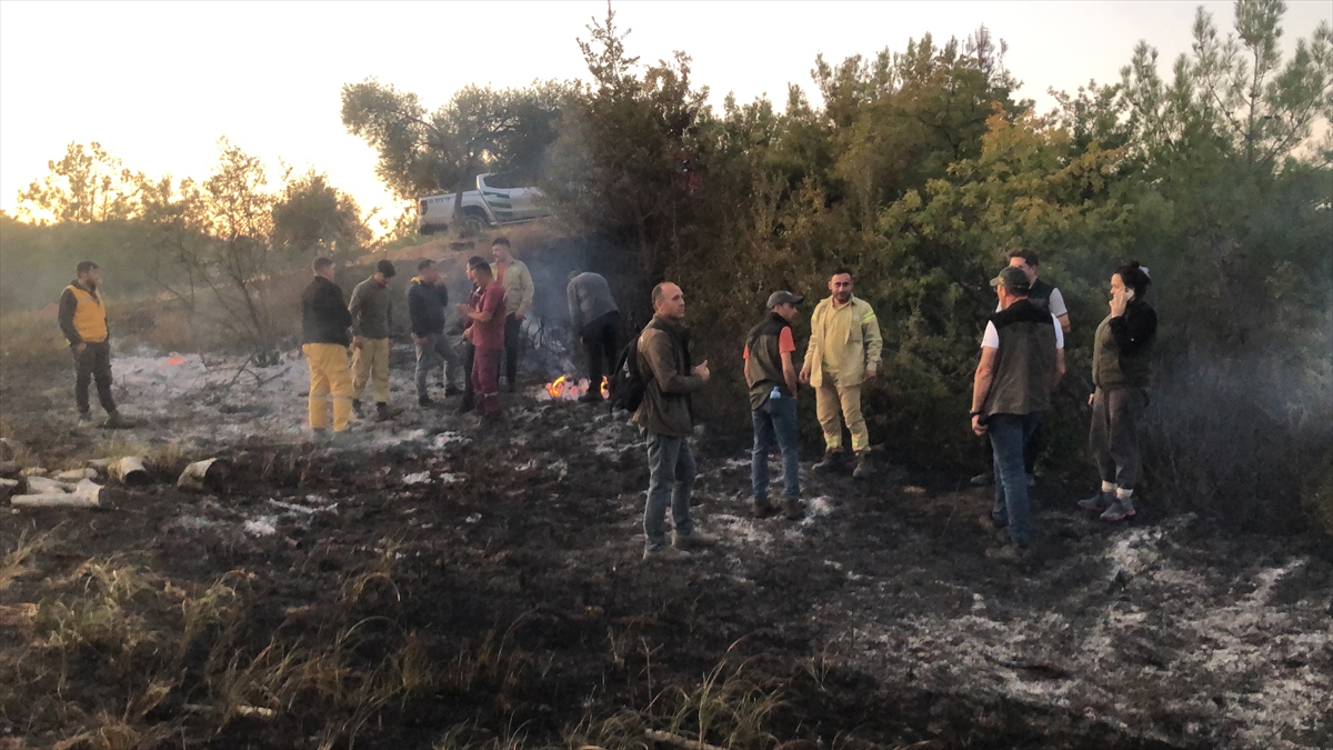 Aydın'da ormanlık ve zeytinlik alanda çıkan yangın kontrol altına alındı