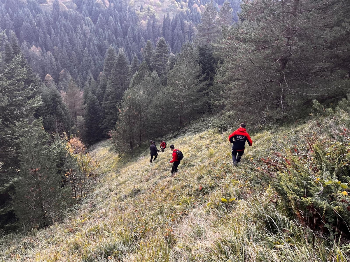 Bolu'da yaylada kaybolan yaşlı çift aranıyor