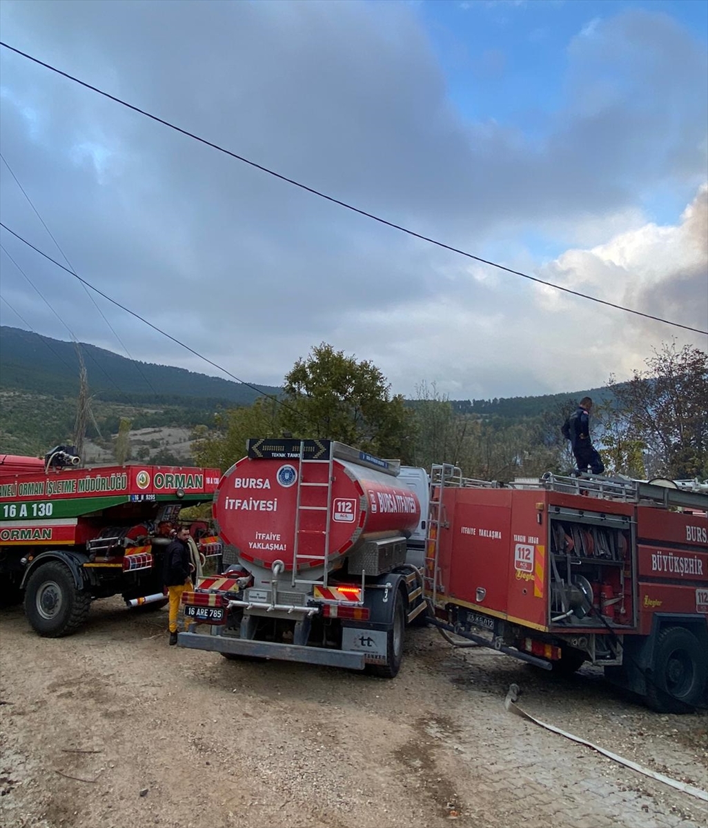 Bursa'da çıkan yangında 2 ev ile 1 samanlık zarar gördü