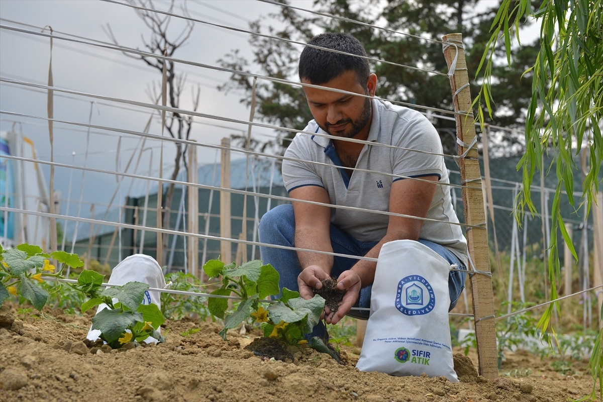 Bursa'da pazar atıkları gübreye dönüştürülüyor