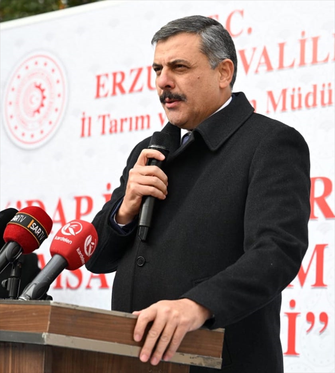 Erzurum'da üretimi artırmak amacıyla çiftçilere 935 ton buğday tohumu dağıtıldı