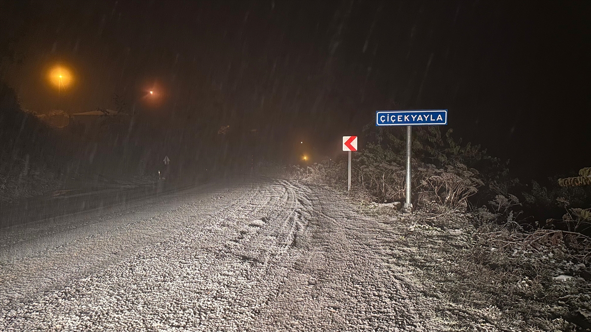 Kastamonu'nun yüksek kesimlerinde kar etkili oldu