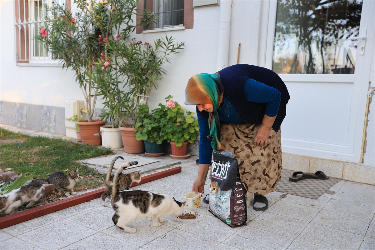 Kayseri'de yaşlı kadının bahçesinde beslediği kediler için mama talebi yerine getirildi