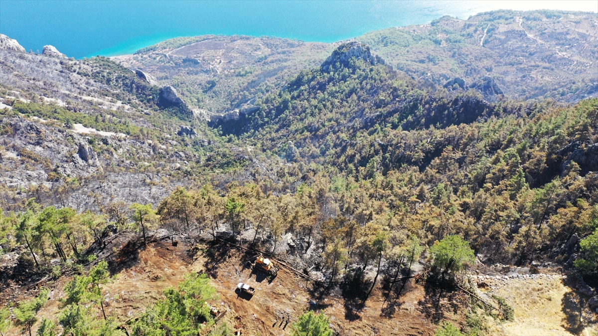 Menteşe'de ormancılar 6 kilometre “yangın şeridi” açarak alevlerin önünü kesti