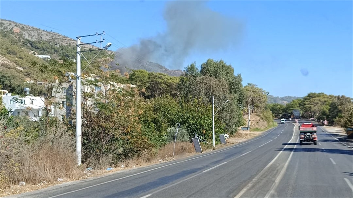 Mersin Anamur'da çıkan orman yangını kontrol altına alındı