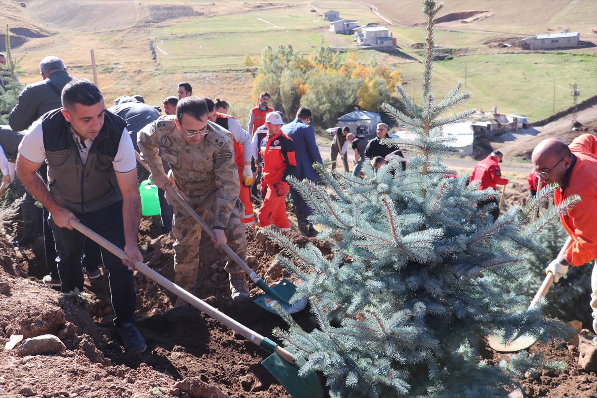 Palandöken Dağı ağaçlandırıldı