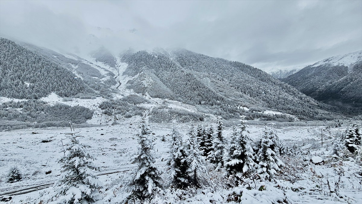 Rize'de yaylacıların köye dönüş yolculuğu devam ediyor