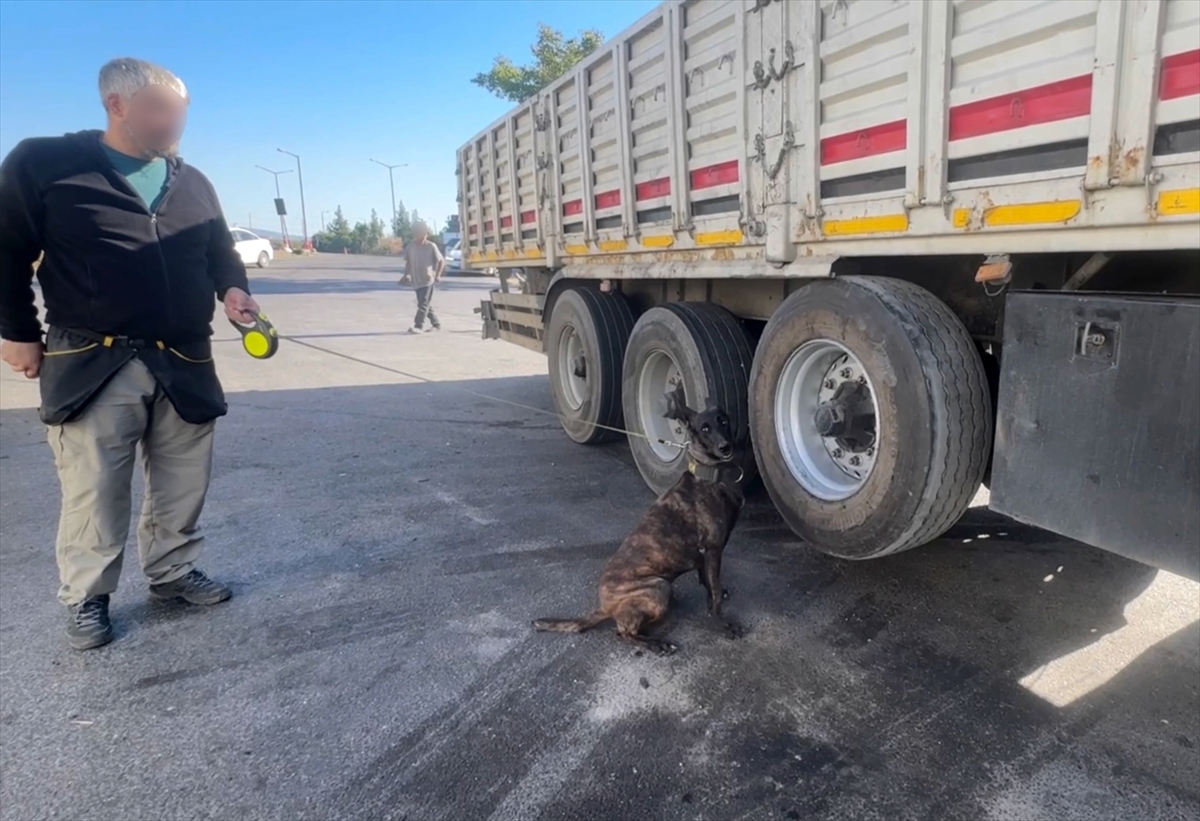 Adana'da tırın lastiklerine gizlenmiş 53 kilogram esrar bulundu