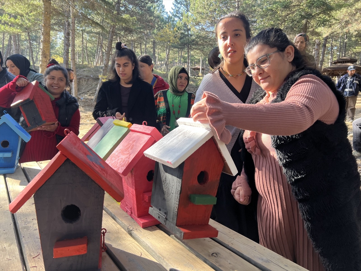 Çorum'da engelli öğrencilerin boyadığı kuş evleri tabiat parkına yerleştirildi