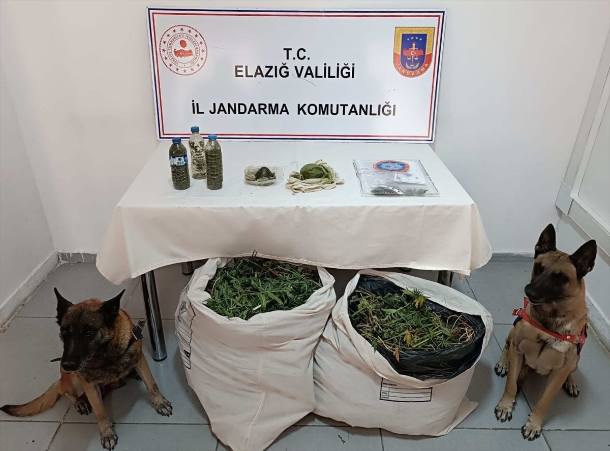 Diyarbakır'da 11 kilo 200 gram esrar ele geçirildi