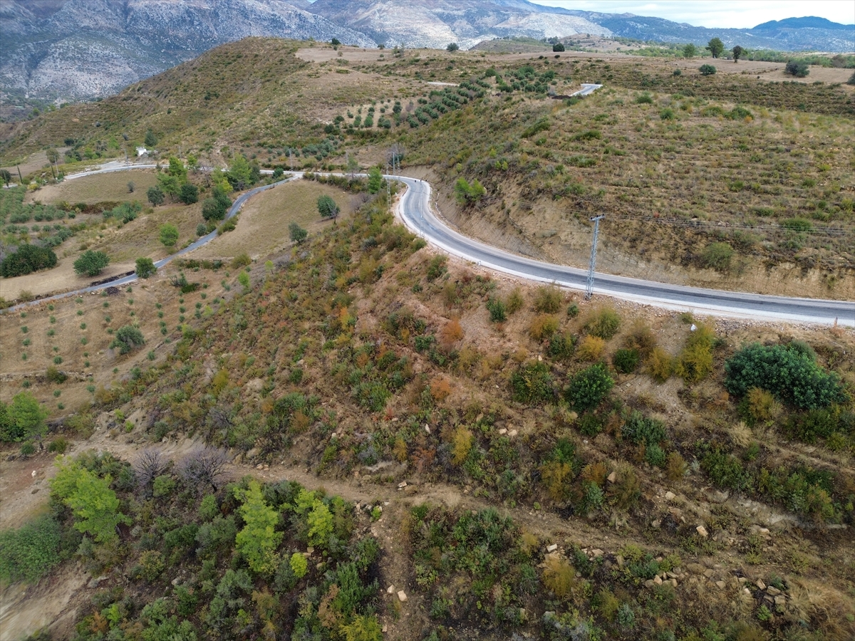 Manavgat'ta yanan alanlar yeniden sonbahar renklerine büründü